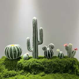 仿真仙人掌绿植造景室内假植物隔断摆件户外花箱热带沙生植物装饰