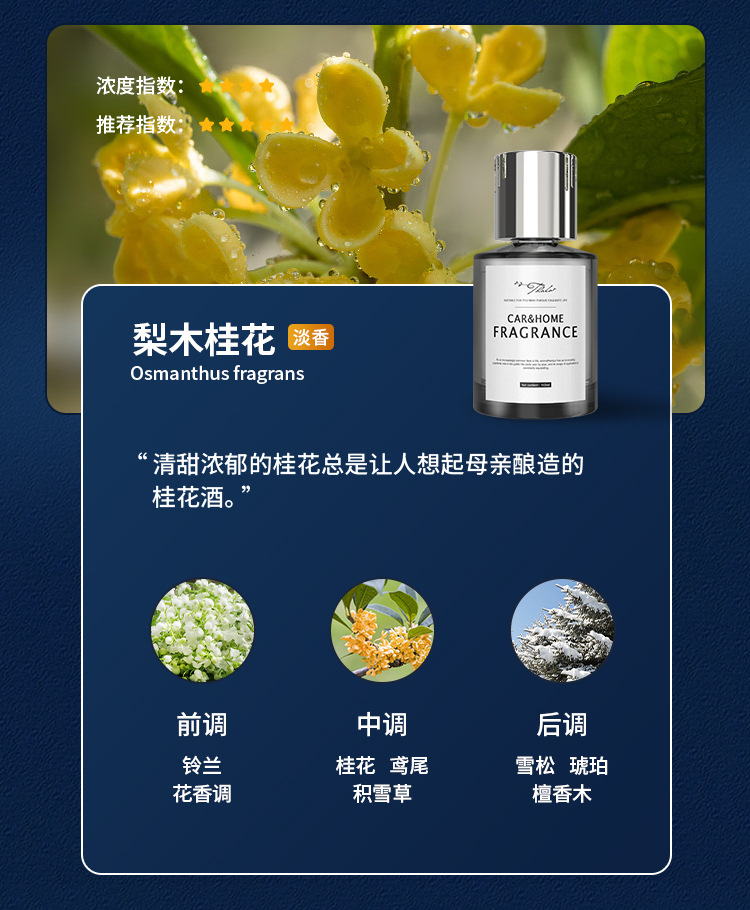 Dropshipping Tarot Silver Meizu Light Fragrance Fireless Aromatherapy Liquid Home Toilet Deodorizing 160ml Car Perfume