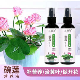 碗莲营养液荷花睡莲养花肥料水培观赏花卉绿色植物生根肥生根快