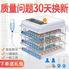可做英文110-240V孵化機全自動小型家用孵化器智能孵化箱孵蛋器