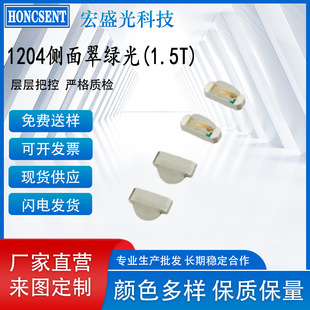 LED����l���1204����l��G �{�� �S��1204���� 1206�Ȱl��G��