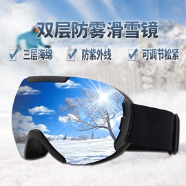 骑行眼镜;滑雪镜;宠物鞋靴