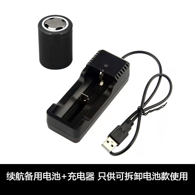 지구력 배터리 + 충전기