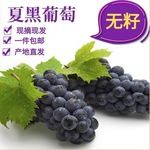 巨峰黑蜜无籽云南整串黑加仑非现摘速卖通夏黑新鲜水果葡萄装建水