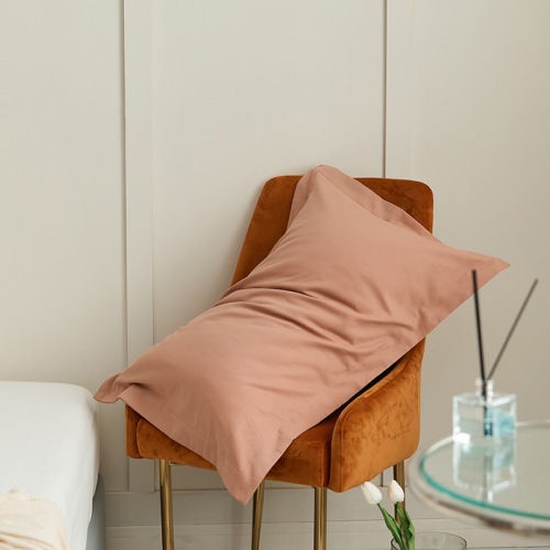 A solid-color 100% cotton pillowcase, one 100% cotton bed sheet, one bed skirt, 100 pieces of velvet for autumn and winter, a pair of 48*74cm single-sized ones