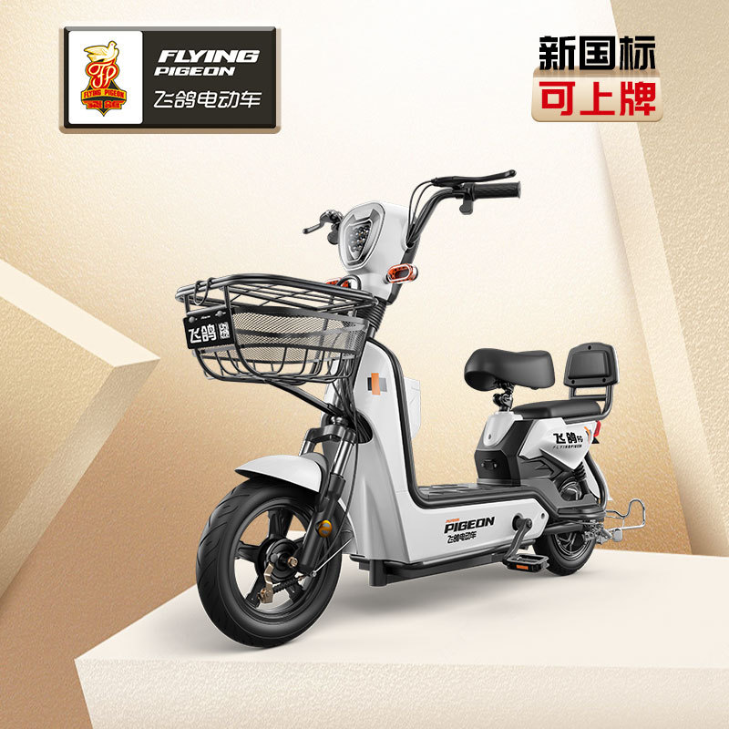Flying Pigeon Golden Eagle coche eléctrico 48V batería de litio coche scooter nuevo estándar nacional bicicleta eléctrica