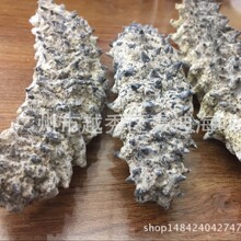 ԭ���ػ� �̲� ��˿�� ���ƴ̲�ͳ16/ͷ������ һ��·���ػ�