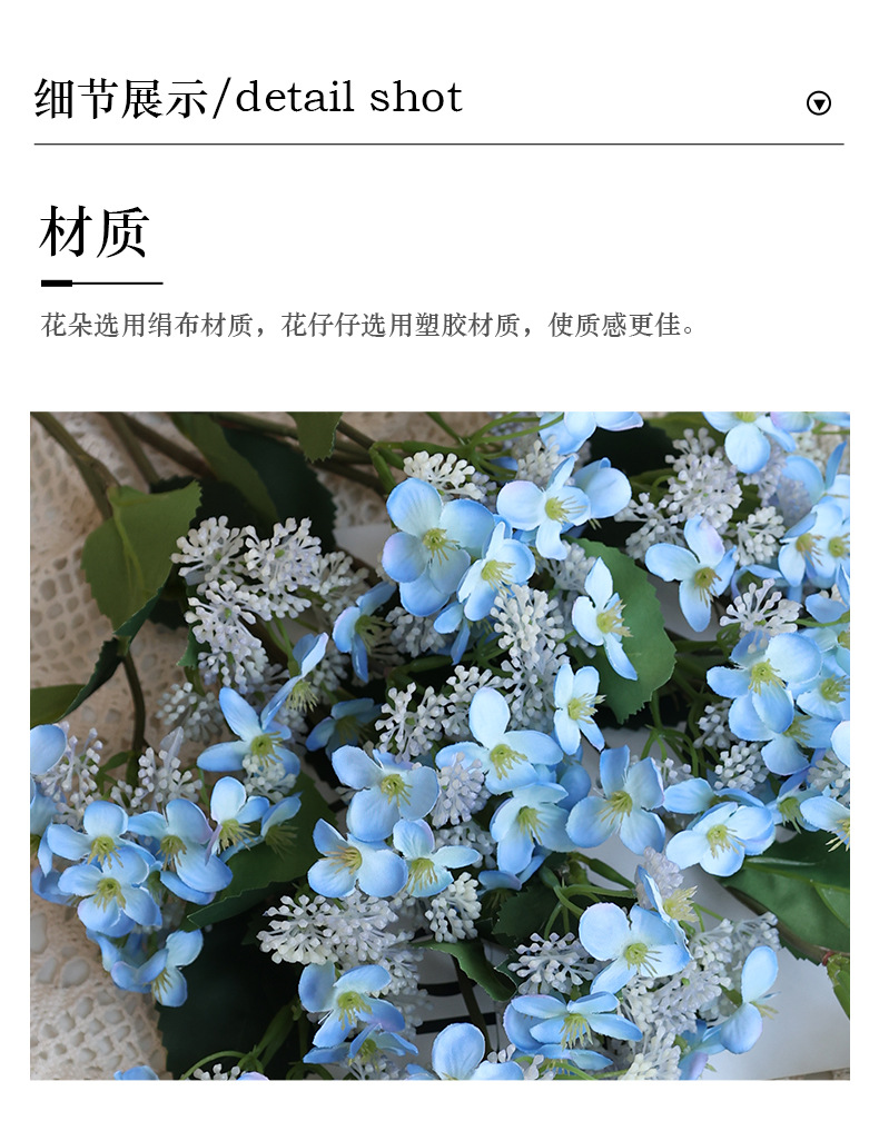 安知八仙绣球花_11.jpg