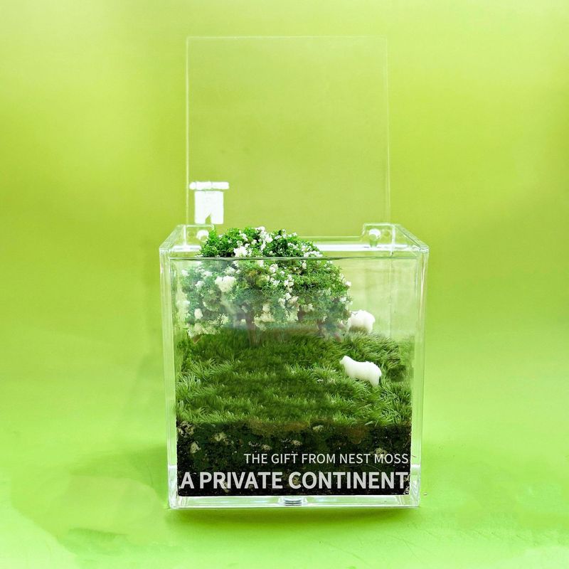 プライベート芝生苔マイクロ風景デスク植物鉢植え屋内クリエイティブグリーン植物怠惰なクリエイティブギフト卒業|undefined