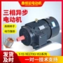 系列异步三相ye2-80m2-2电动机