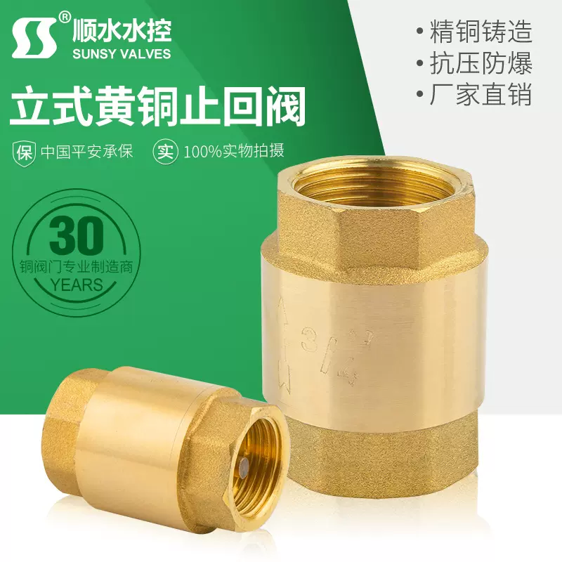 全黄铜立式止回阀水管水表止逆阀弹簧单向阀20玉环厂家直销铜阀门