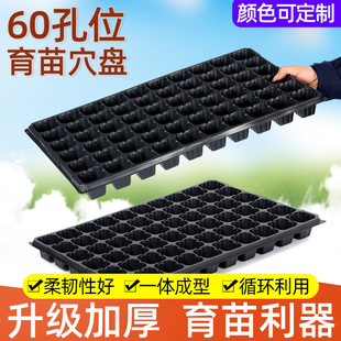 ����Pѿ��˷Nֲ�P����������߲����נI�B�P��ľǤ��60Ѩ�P���l