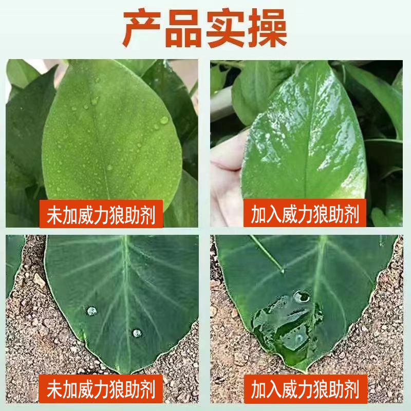 [100g] poderoso adyuvante de absorción interna direccional adyuvante de sinergia de pesticidas silicona al por mayor