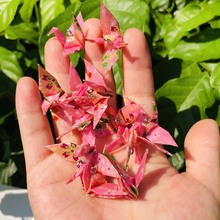 DIY�ֹ��������h�Ʒ���������z��ˮǧ���Q�������L�ۼ����h