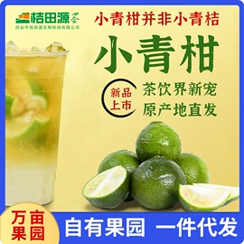 果蔬汁;柠檬;乌龙茶