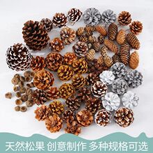 �ɹ��b���������ɻ��ֹ�diyɭ���׃��@�h���ɘ�֦Ұ������[��