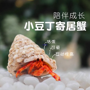 �ľ�з�����^�p�rз�Ұ׺ڶ���ֱ����������ײ�