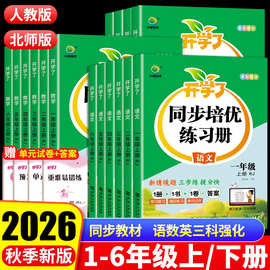 小学同步培优练习册语数英一二三四五六年级同步课课练人教北师版