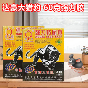 �_��A1��C��60gճ��及��մ�������N����ճ���N����ճ������l