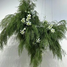 仿真绿植芦荀草绿荀草嘉兰百合火焰百合龙须草婚庆花墙莫奈花园