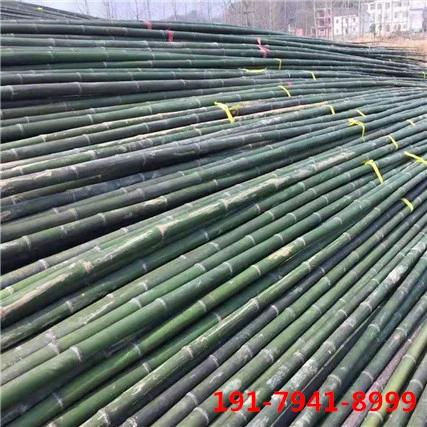 Длинный бамбуковый столб зимняя дыня строит цыплят и уток для выращивания овощей