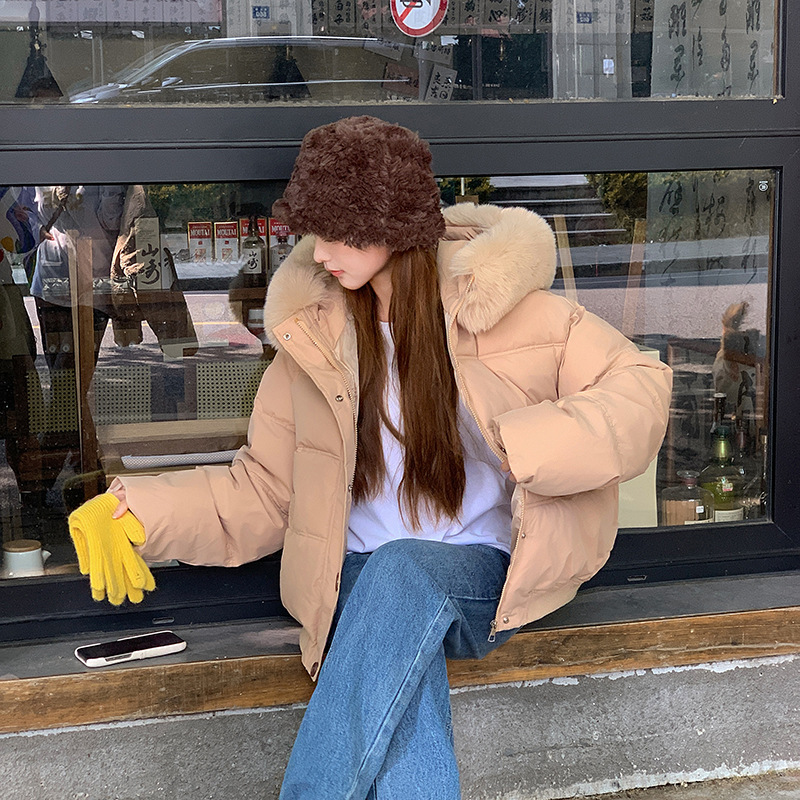 Invierno nuevo 2024 Corea del Sur Dongdaemun ropa de algodón de cuello grande mujer corto suelto ocio grueso chaqueta pequeña image 3