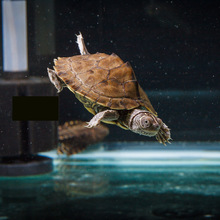 �������ȵ؈D���������С�������������^�p��ˮ������~�S��