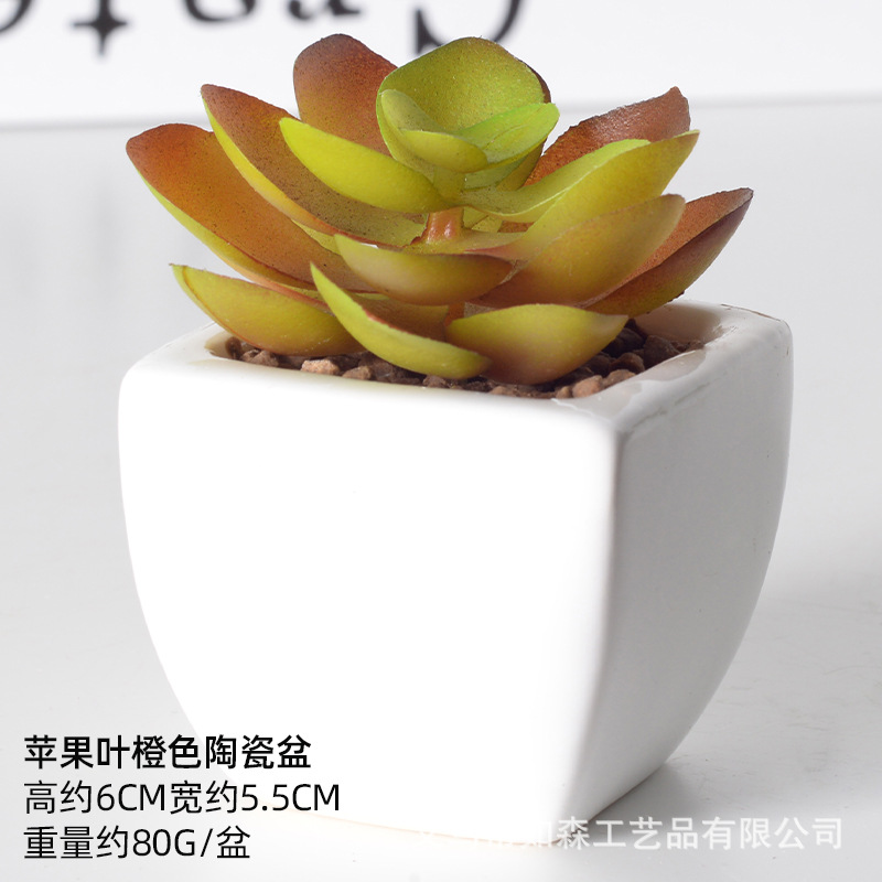 Simulación de cerámica bonsai de carne doméstica decoración de escritorio de oficina plantación verde maceta props de disparo maceta combinada artificial image 25