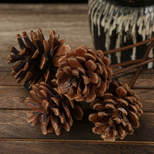 ��ɫ���ɹ����� �ɻ�diy���ϰ������Ĕz���ߔ[�����������ɻ����l