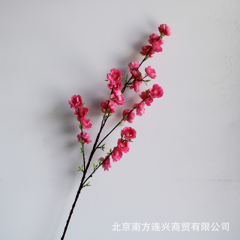 딥 파우더