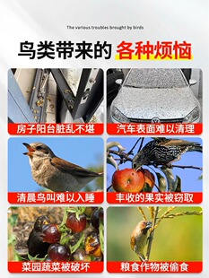 �r�÷��B��B����Bș�w����N������s��ȸș�㾫���ϰ�����