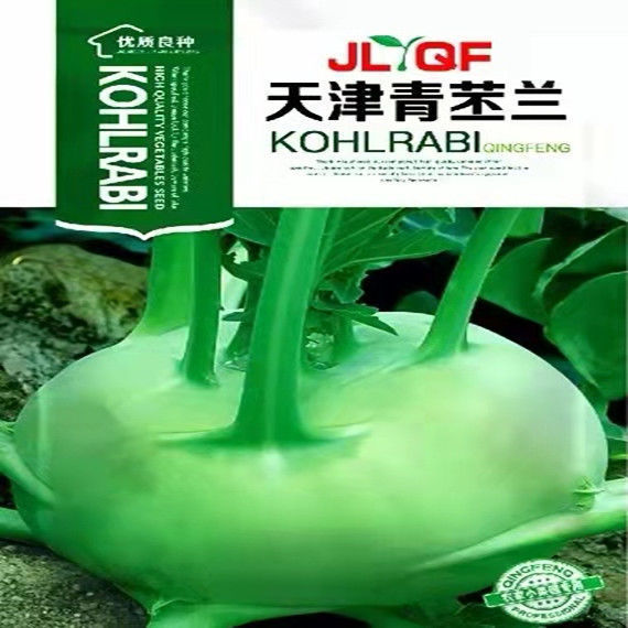 【春秋丕兰种子】四季播青苤蓝丕蓝阳台盆栽农家菜园易种蔬菜种子