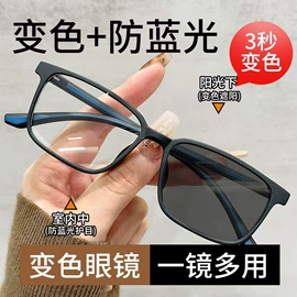 太阳镜;老花镜;光学眼镜