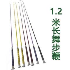 専門の馬の鞭は馬に乗って馬の鞭の騎士の馬の鞭を訓練します。
