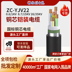 yjv22电力电缆铠装无氧铜芯1-10-15kv单芯国标电线线缆厂家订做