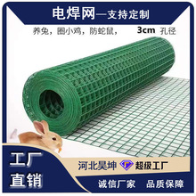 荷兰防护网PVC绿色电焊网围栏圈地家禽养殖网包塑铁丝网
