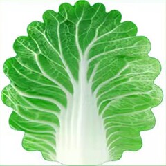 昼寝毛布白菜大餅ブランケットインド飛餅ブランケットパンケーキブランケットエアコン毛布事務シングル巻餅ブランケット