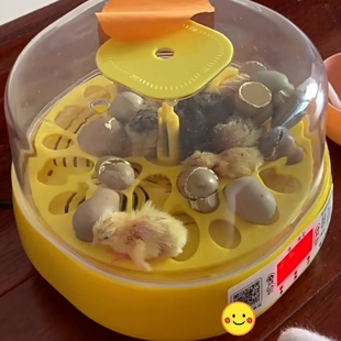 �ɷ����u�������J���u�N��С�uС�S��С�����ܾ��N��ȫ�Ԅӷ�����