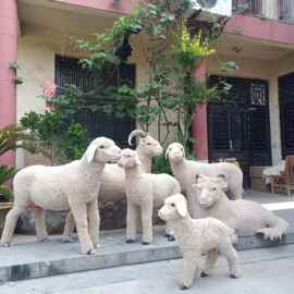 仿真皮毛动物大绵羊模型羊肉汤馆摆件小庭院花园展厅场馆绵羊摆件