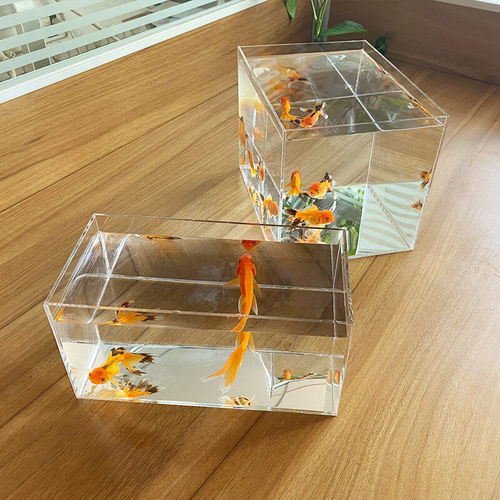 Isolation box small white betta display rack multi-grid desktop creative small fish tank ecological tank acrylic plate turtle
