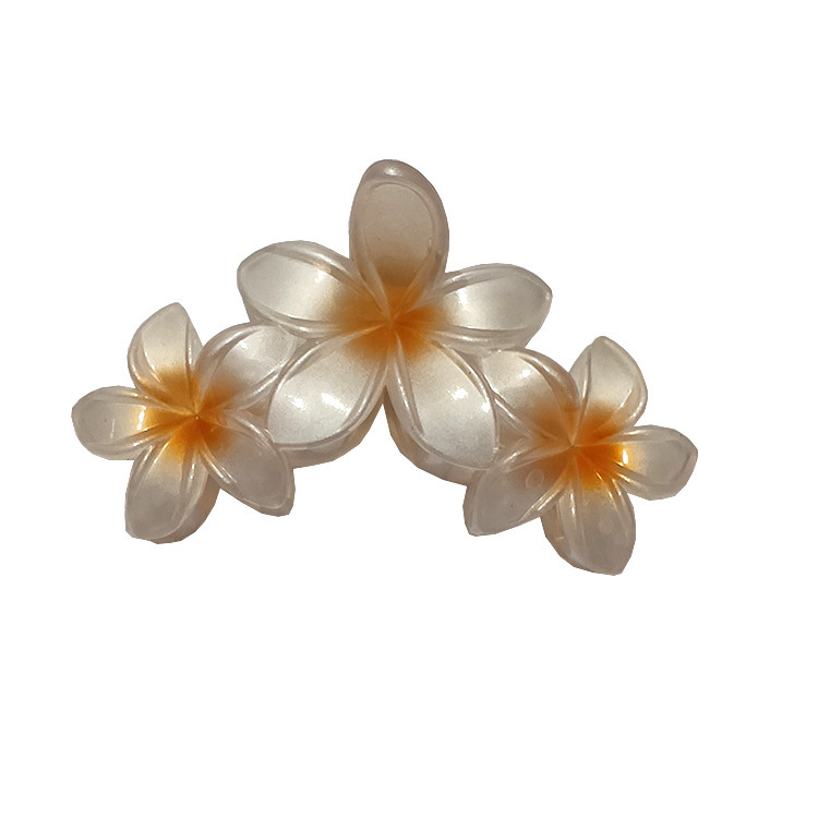 国境を越えたアマゾンの卵の花がグラデーションの花のキャンディー色の紫荊花の後頭部をつかんでサメの花を挟んで髪を伸ばします。|undefined
