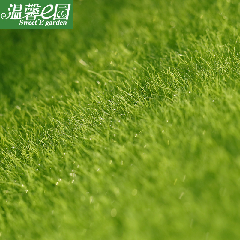 微景观创意仿真假苔藓 假草皮坪 生态瓶装饰草坪苔藓 假白发藓|undefined