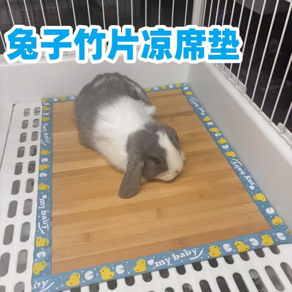 d930d3da-ba55-435e-a0be-d71691dc9bb3.jpe