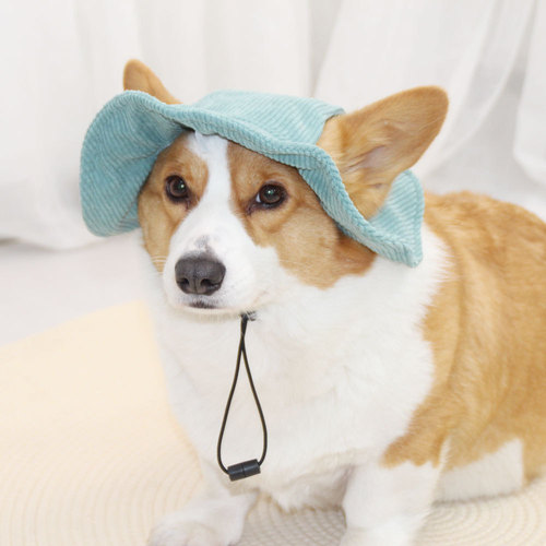 Pet it cute dog hat with exposed ears, pet fisherman hat, sunshade dress, corgi, sunscreen, little yellow hat, Amazon