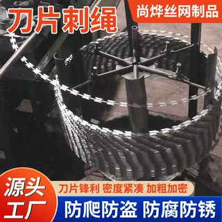 厂家定制刀片刺绳带刺铁丝防盗网监狱防爬不锈钢滚轮刀片刺绳刺网