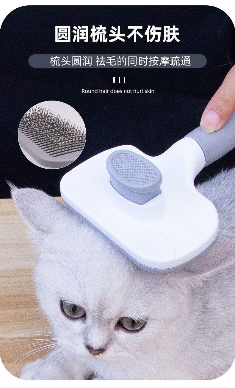 6273eaf3-ca76-4888-ae6e-ef9c8fcf898c.jpe