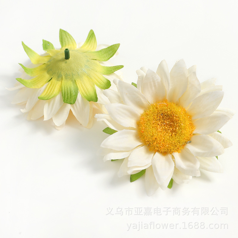 화이트