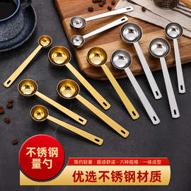 304不锈钢量勺计量勺 奶粉勺子烘焙工具 5ml烘焙勺金属咖啡勺批发