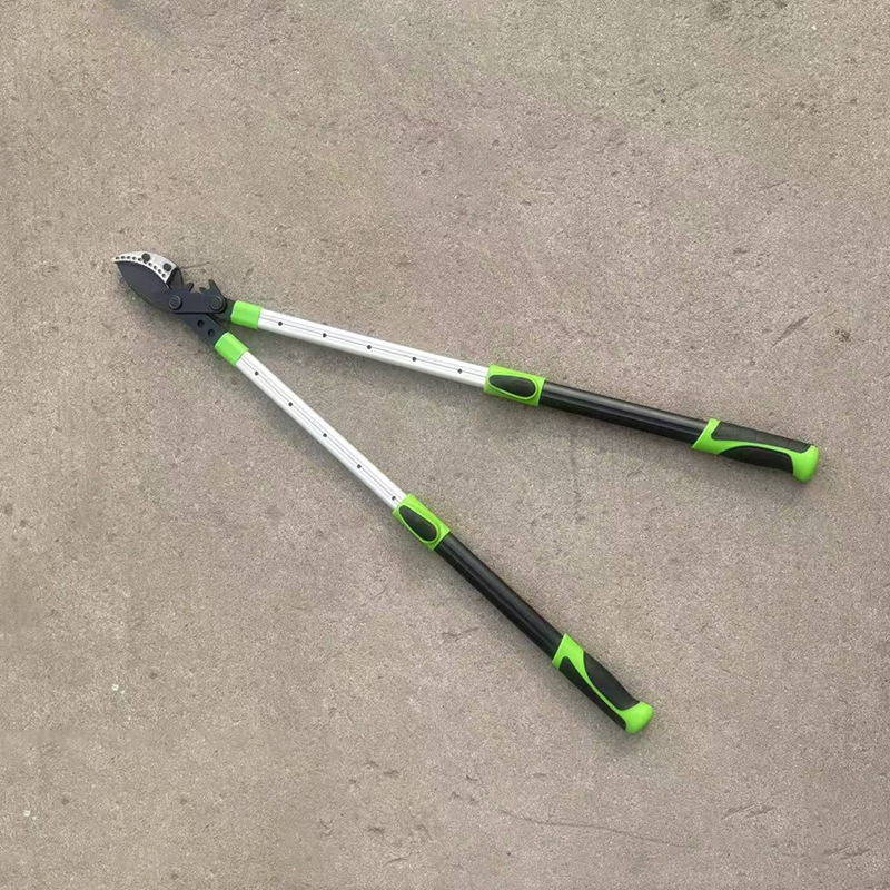 微信图片_20260129143010_570_408.jp