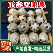 ���۹���ș�����r��؛�o�۹������ӏV�������ᗗ�˱���������ִ�